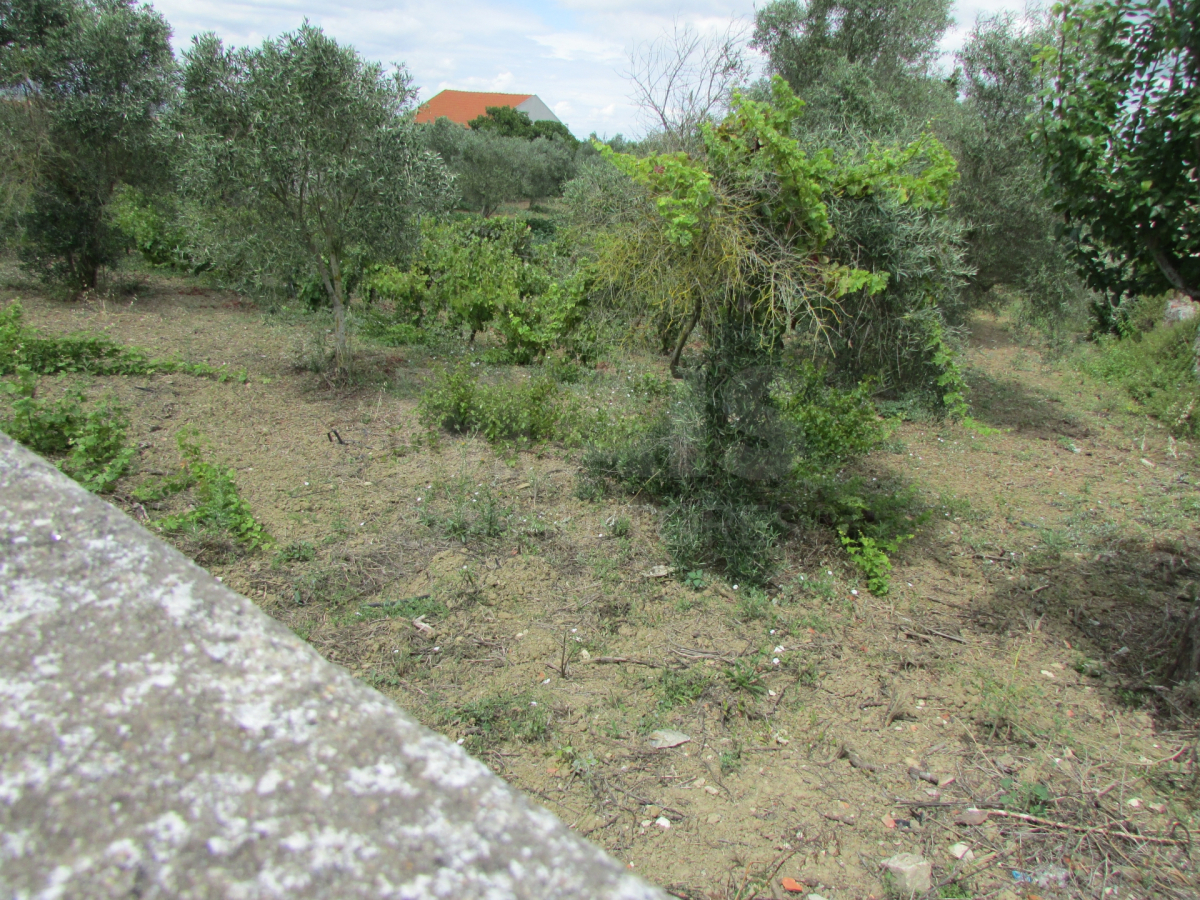 Terreno para construção no Casal da Cocha, Vila Franca de Xira